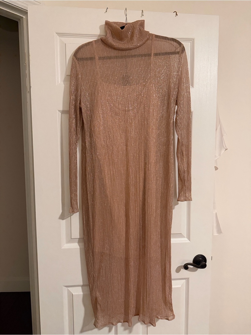 Sheer Long-Sleeve Turtleneck Midi Dress in Nude